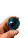 Rückseite
