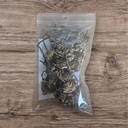Salbei Peru Salvia officinales 