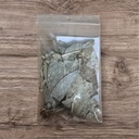 Salbei Peru Salvia officinales 