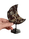Photoroom_20250425_122416.PNG