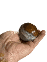 Photoroom_20250425_122538.PNG