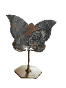 Photoroom_20250425_122449.PNG