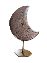 Photoroom_20250425_122609.PNG