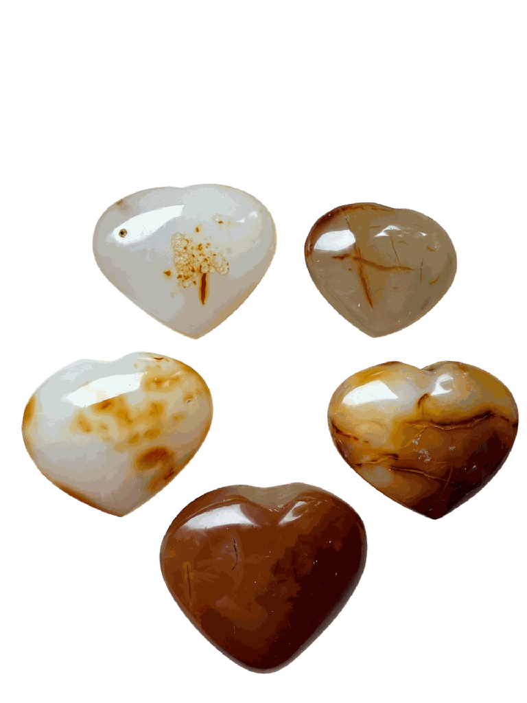Photoroom_20250827_152526.png