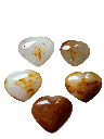 Photoroom_20250827_152526.png