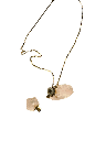 Photoroom_20250912_181230.png