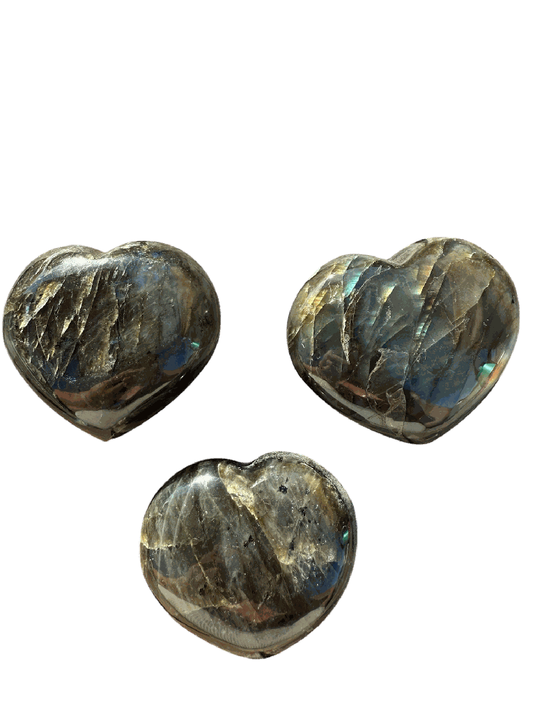 Photoroom_20250918_191134.PNG