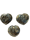 Photoroom_20250918_191134.PNG