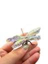 Photoroom_20260628_134754.webp
