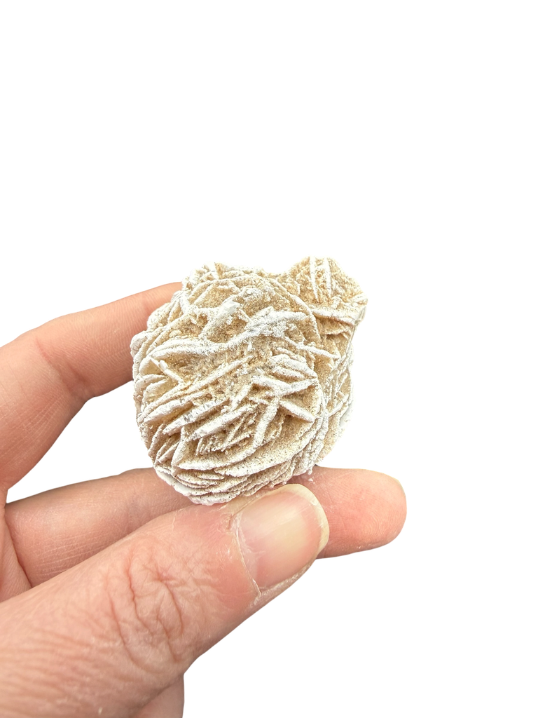 Sandrose gefrostet Mexico