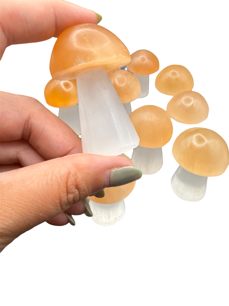 Selenit Pilz