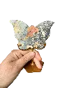 Maligano Jaspis Schmetterling 