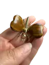 Tigerauge Schmetterling