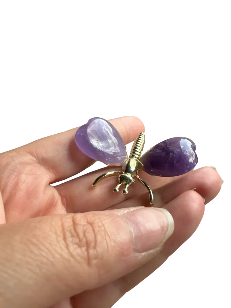 Amethyst Schmetterling