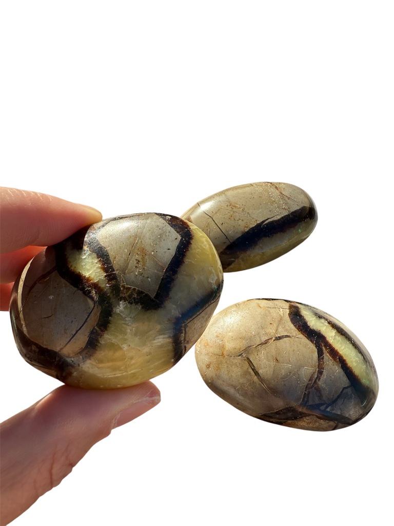 Septarie Madagaskar 
