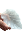 Selenit Blatt Schale