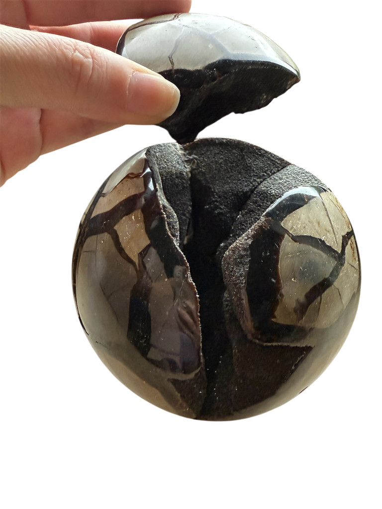 Septarie Dragon Egg XL