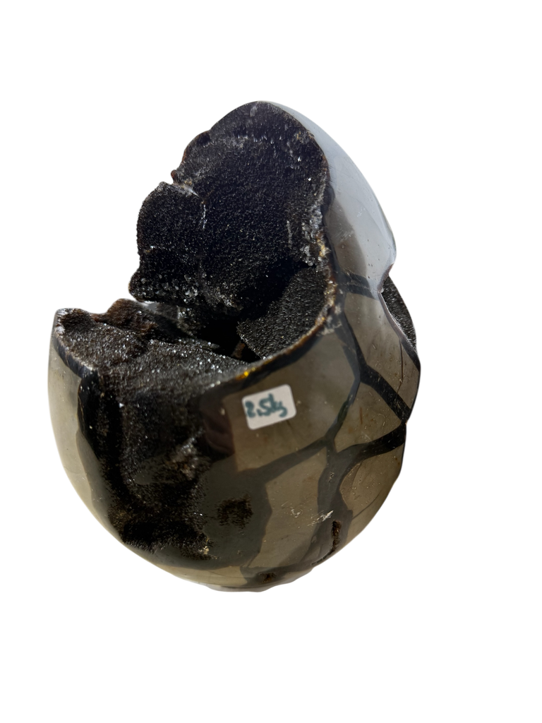 Septarie Dragon Egg XL