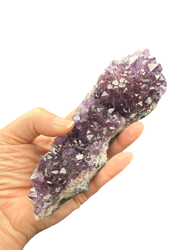 Amethyst Cluster