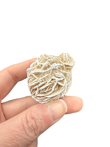 Sandrose gefrostet Mexico