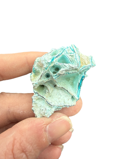 Chrysokoll mit Chalcedon Maluku Utara