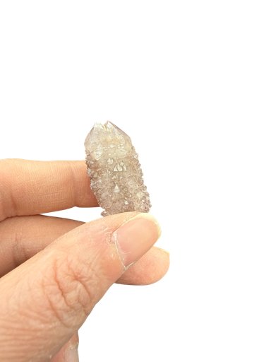 Amethyst Quarz Kaktus 