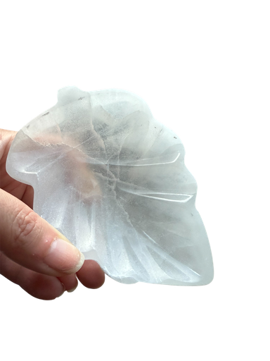 Selenit Blatt Schale