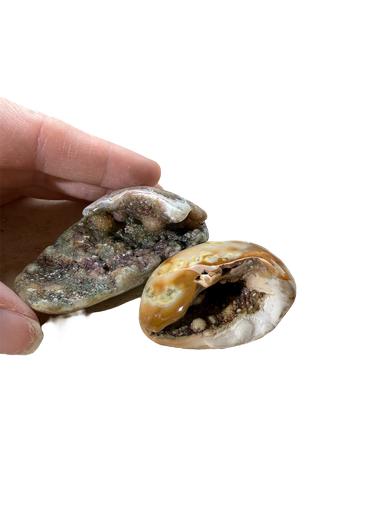 Achat Botryoidaler Set